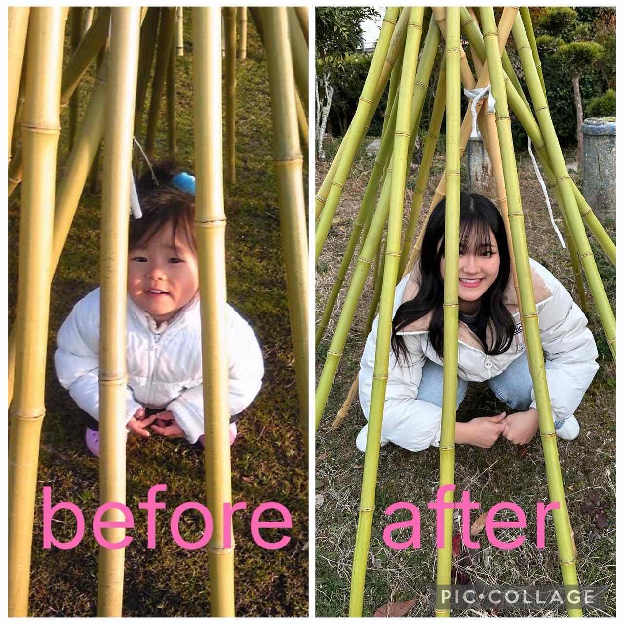 竹の櫓とともに育つ、成長の記録