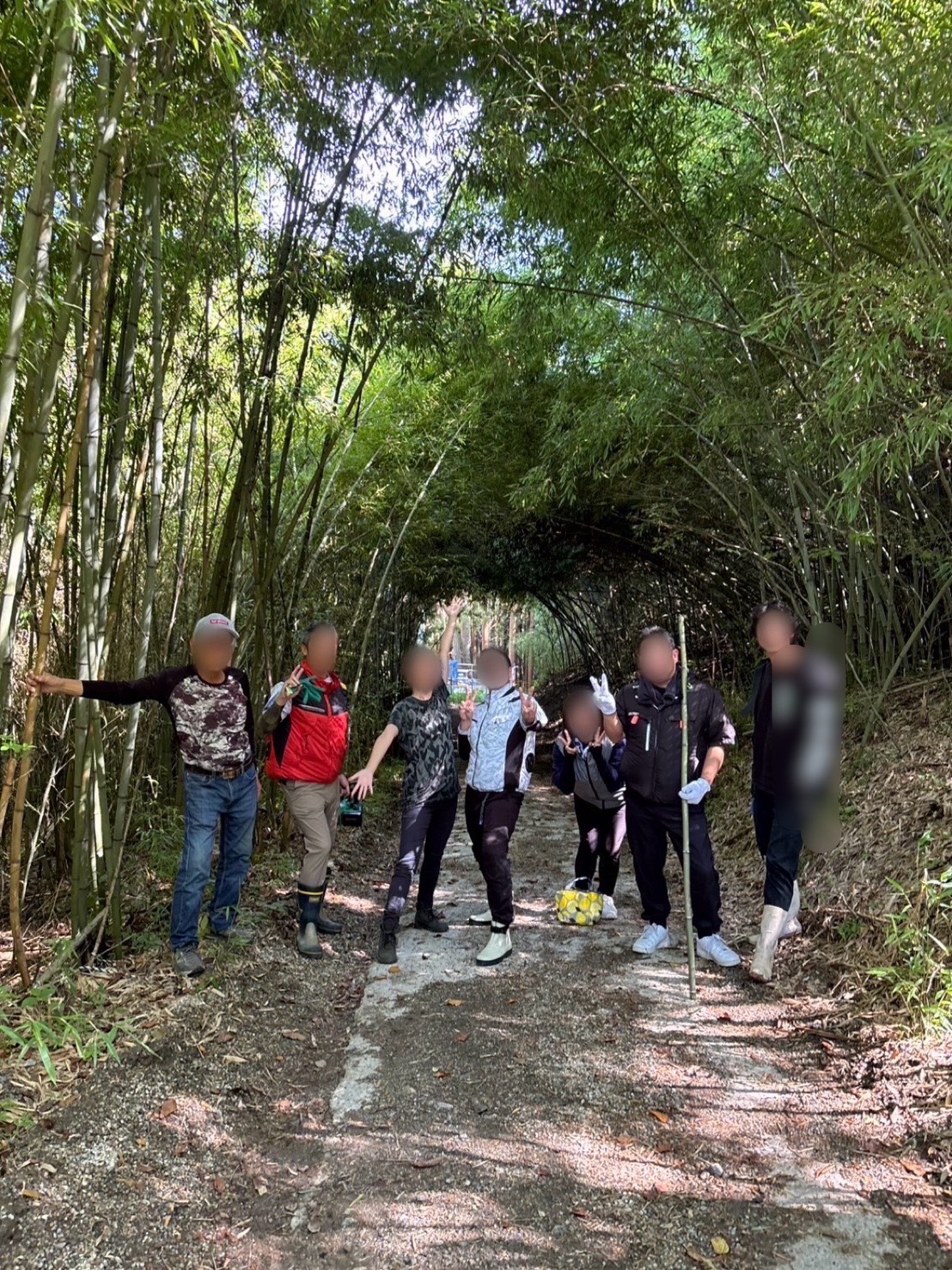 竹探しの旅
